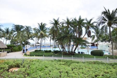 The Palms, Ocean View Studio Located At Ritz Carlton - Key Biscayne Miami Buitenkant foto