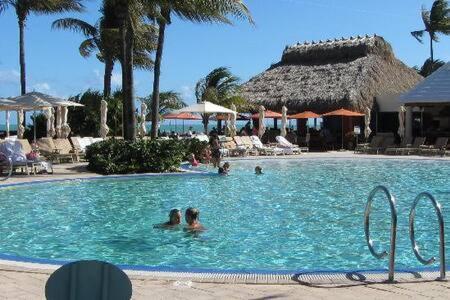 The Palms, Ocean View Studio Located At Ritz Carlton - Key Biscayne Miami Buitenkant foto